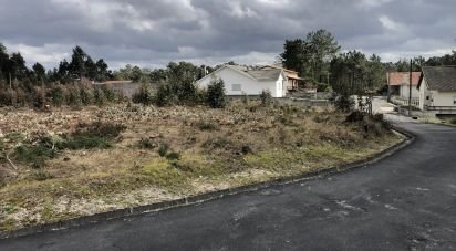 Terrain agricole à Marinha Grande de 1 141 m²