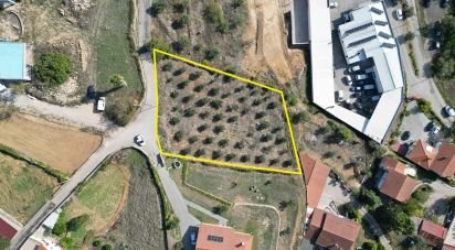 Terrain à bâtir à São Miguel, Santa Eufémia e Rabaçal de 1 750 m²