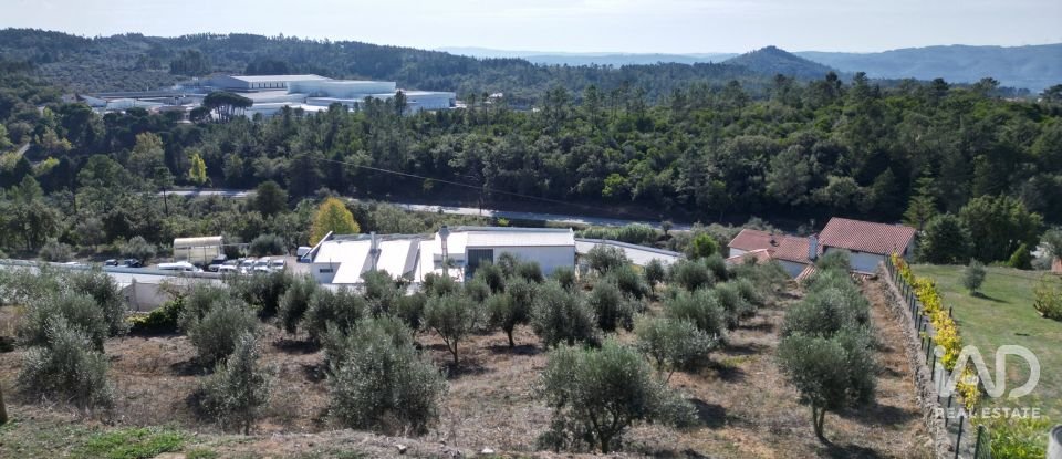 Terreno urbano em São Miguel, Santa Eufémia e Rabaçal de 1 750 m²