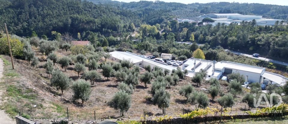 Terreno urbano em São Miguel, Santa Eufémia e Rabaçal de 1 750 m²