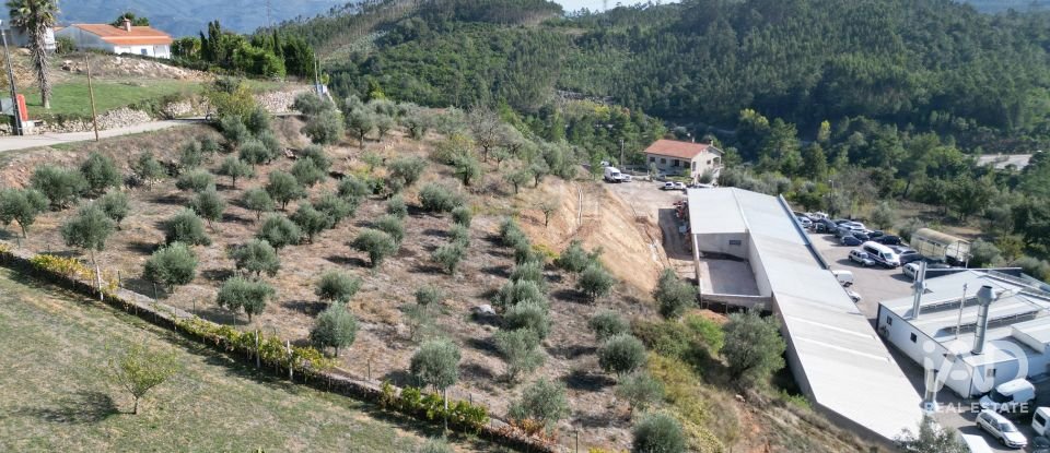 Terreno urbano em São Miguel, Santa Eufémia e Rabaçal de 1 750 m²