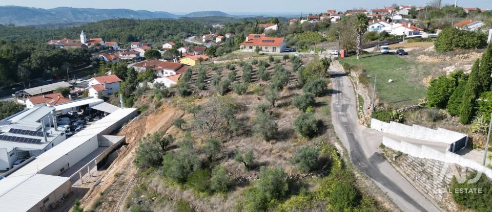 Terreno urbano em São Miguel, Santa Eufémia e Rabaçal de 1 750 m²