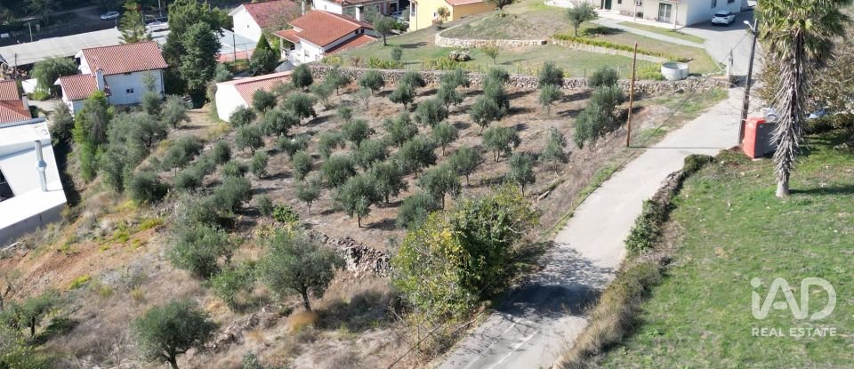 Terreno urbano em São Miguel, Santa Eufémia e Rabaçal de 1 750 m²