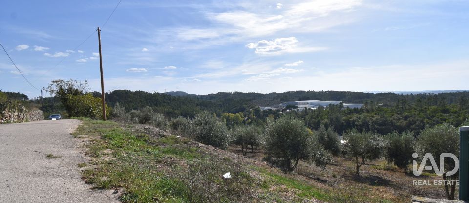 Terreno urbano em São Miguel, Santa Eufémia e Rabaçal de 1 750 m²