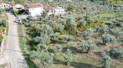 Terrain agricole à Podentes de 3 149 m²