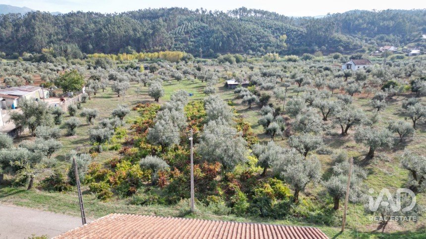 Terreno rústico em Podentes de 3 149 m²