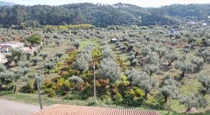 Terrain agricole à Podentes de 3 149 m²