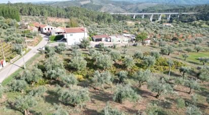 Terrain agricole à Podentes de 3 149 m²