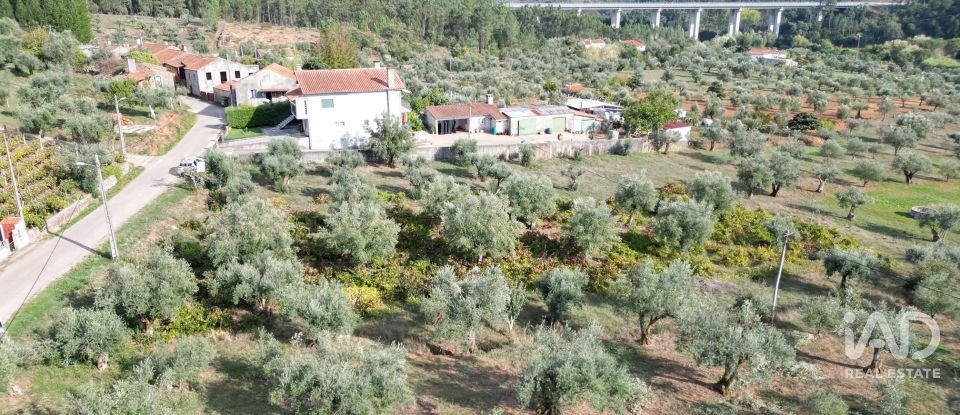 Terreno rústico em Podentes de 3 149 m²