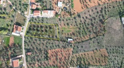 Terrain agricole à Podentes de 3 149 m²