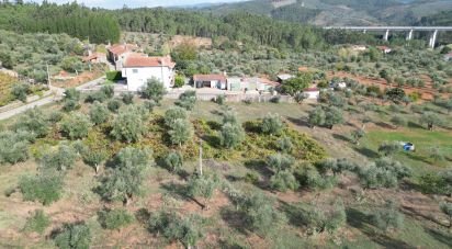 Terrain agricole à Podentes de 3 149 m²