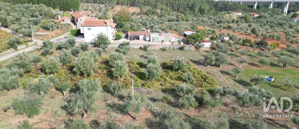 Terreno rústico em Podentes de 3 149 m²