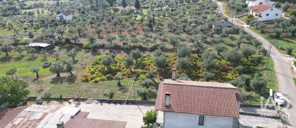 Terreno rústico em Podentes de 3 149 m²