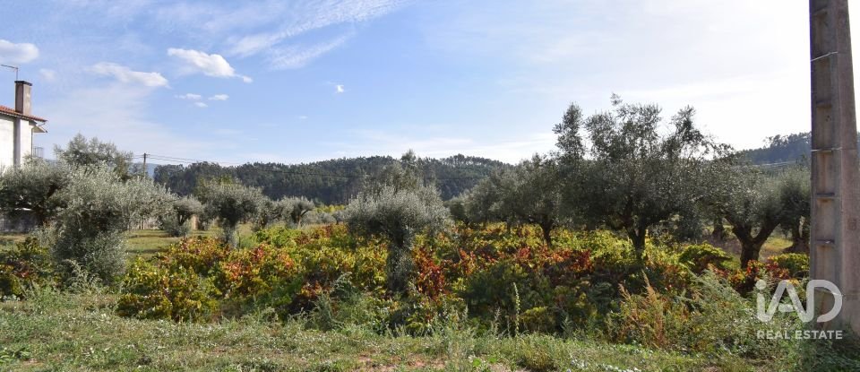 Terreno rústico em Podentes de 3 149 m²