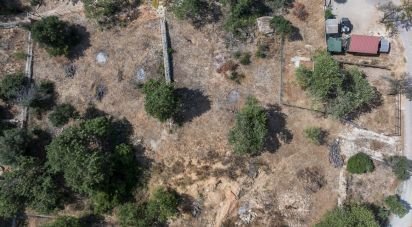 Terrain à Boliqueime de 1 742 m²