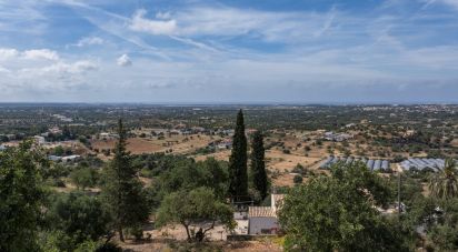 Terrain à Boliqueime de 1 742 m²