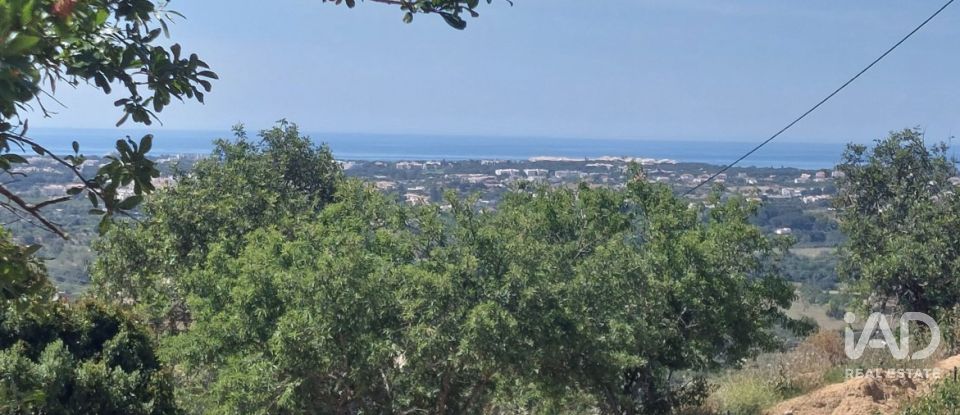 Terreno em Boliqueime de 1 742 m²