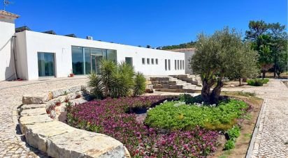 Terrain à Santa Catarina da Fonte do Bispo de 47 217 m²