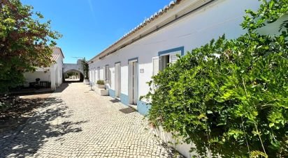 Terrain à Santa Catarina da Fonte do Bispo de 47 217 m²