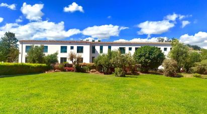 Terrain à Santa Catarina da Fonte do Bispo de 47 217 m²