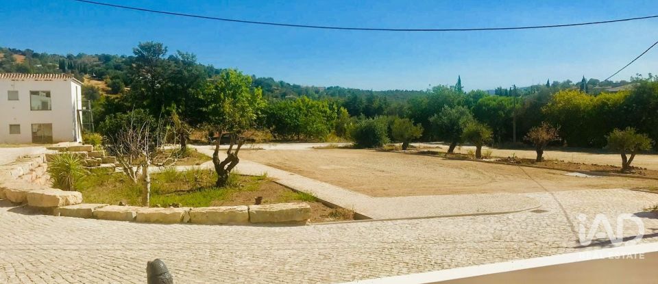 Terreno em Santa Catarina da Fonte do Bispo de 47 217 m²