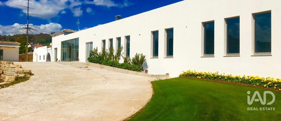 Terreno em Santa Catarina da Fonte do Bispo de 47 217 m²