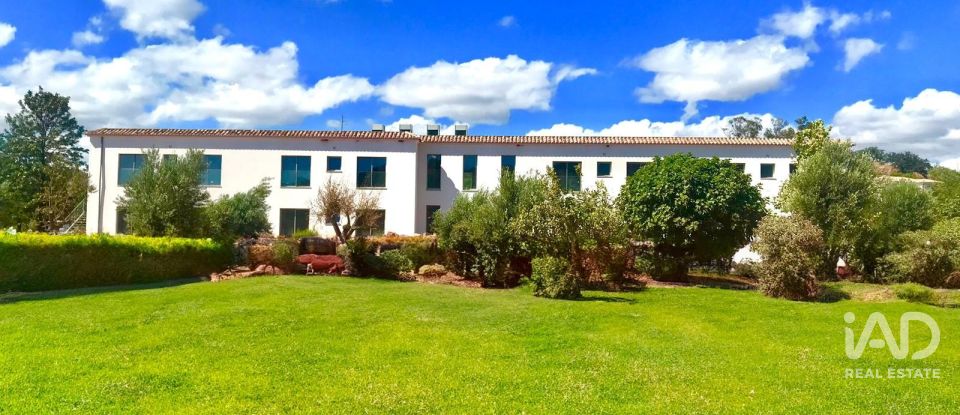 Terreno em Santa Catarina da Fonte do Bispo de 47 217 m²