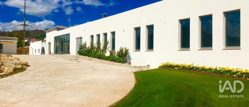 Terreno em Santa Catarina da Fonte do Bispo de 47 217 m²