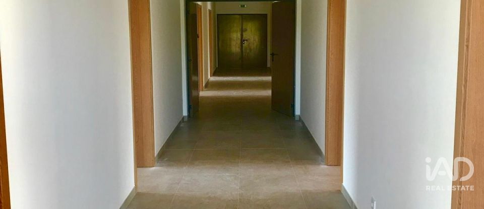 Terreno em Santa Catarina da Fonte do Bispo de 47 217 m²