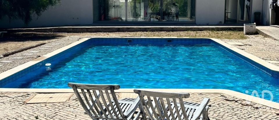 Terreno em Santa Catarina da Fonte do Bispo de 47 217 m²