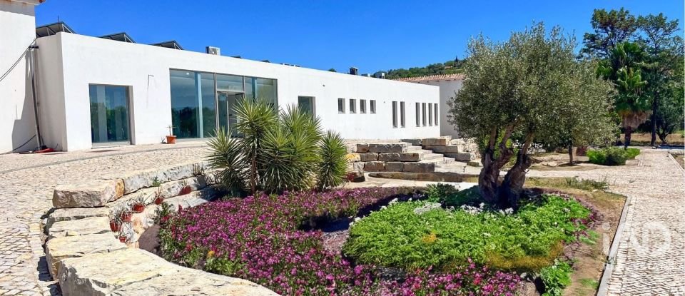 Terreno em Santa Catarina da Fonte do Bispo de 47 217 m²