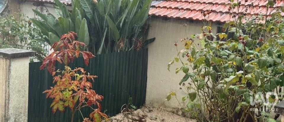 Appartement T3 à Tomar (São João Baptista) e Santa Maria dos Olivais de 112 m²