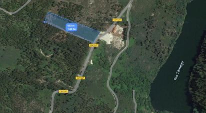 Terrain à Vila Boa de Quires e Maureles de 10 050 m²