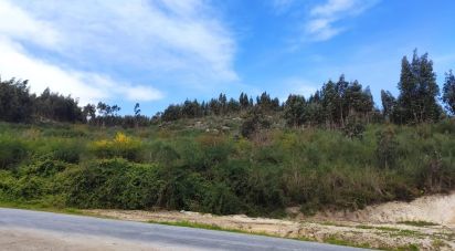 Terrain à Vila Boa de Quires e Maureles de 10 050 m²