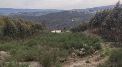 Terrain à Vila Boa de Quires e Maureles de 10 050 m²