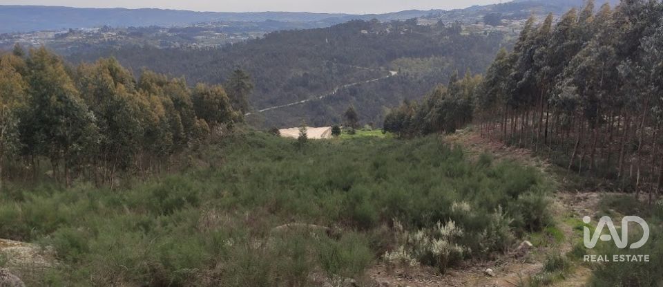 Terreno em Vila Boa de Quires e Maureles de 10 050 m²