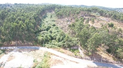 Terrain à Vila Boa de Quires e Maureles de 10 050 m²