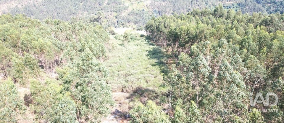 Terreno em Vila Boa de Quires e Maureles de 10 050 m²