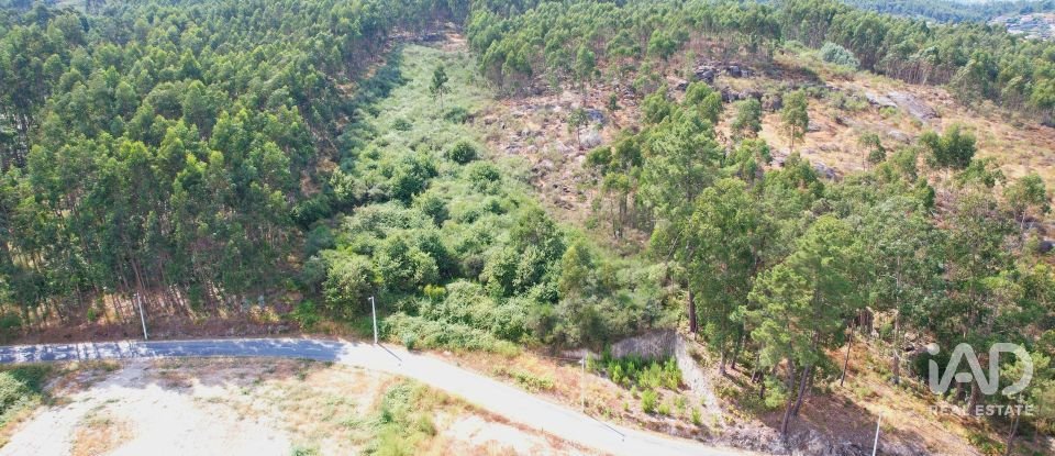 Terreno em Vila Boa de Quires e Maureles de 10 050 m²