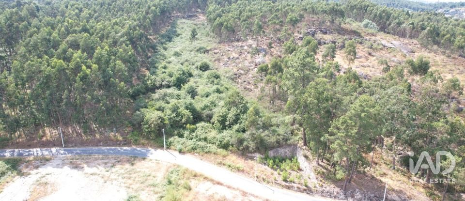 Terreno em Vila Boa de Quires e Maureles de 10 050 m²