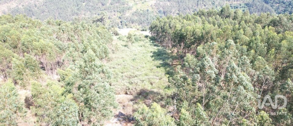 Terreno em Vila Boa de Quires e Maureles de 10 050 m²