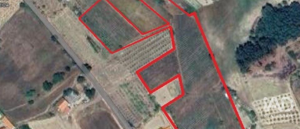 Land in Orjais of 13,681 m²