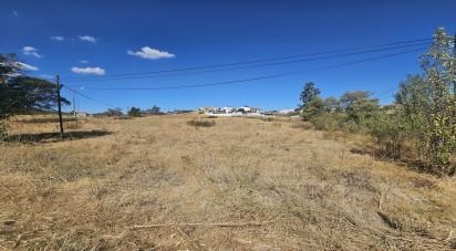Terrain agricole à Alcoutim e Pereiro de 2 750 m²