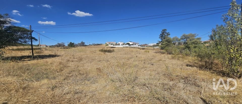 Terreno rústico em Alcoutim e Pereiro de 2 750 m²