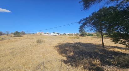 Terrain agricole à Alcoutim e Pereiro de 2 750 m²