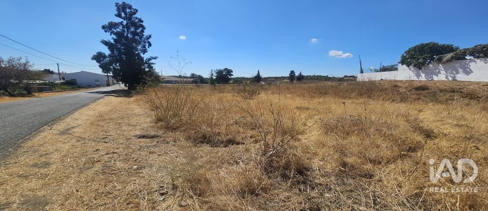 Terreno rústico em Alcoutim e Pereiro de 2 750 m²