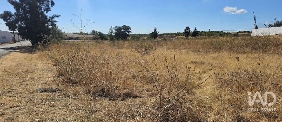Terreno rústico em Alcoutim e Pereiro de 2 750 m²