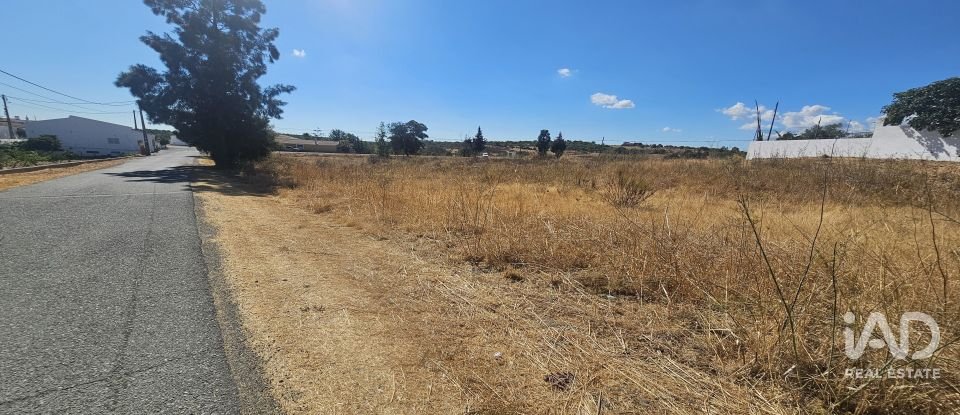 Terreno rústico em Alcoutim e Pereiro de 2 750 m²