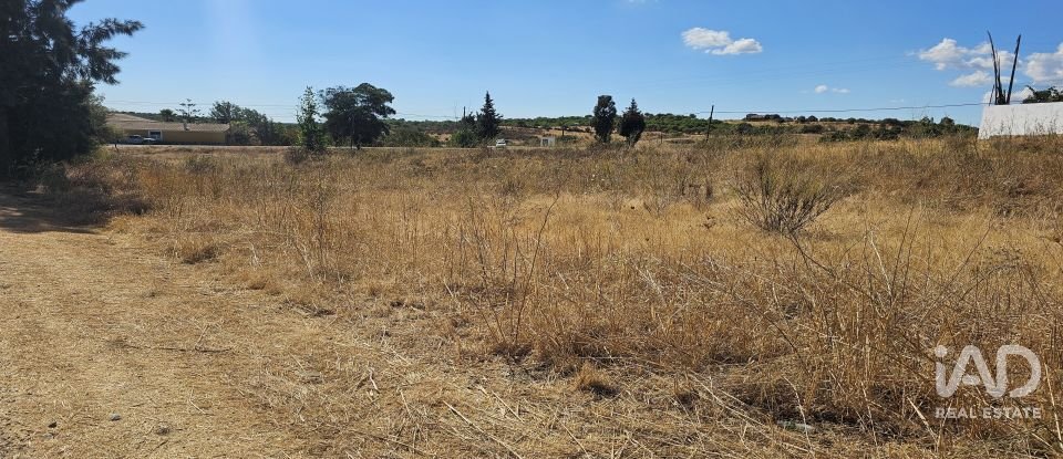 Terreno rústico em Alcoutim e Pereiro de 2 750 m²