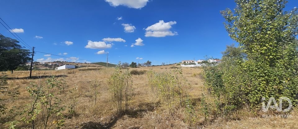 Terreno rústico em Alcoutim e Pereiro de 2 750 m²